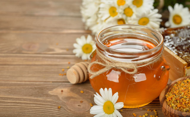 Експортний потенціал: бізнес-план підприємства по переробці меду